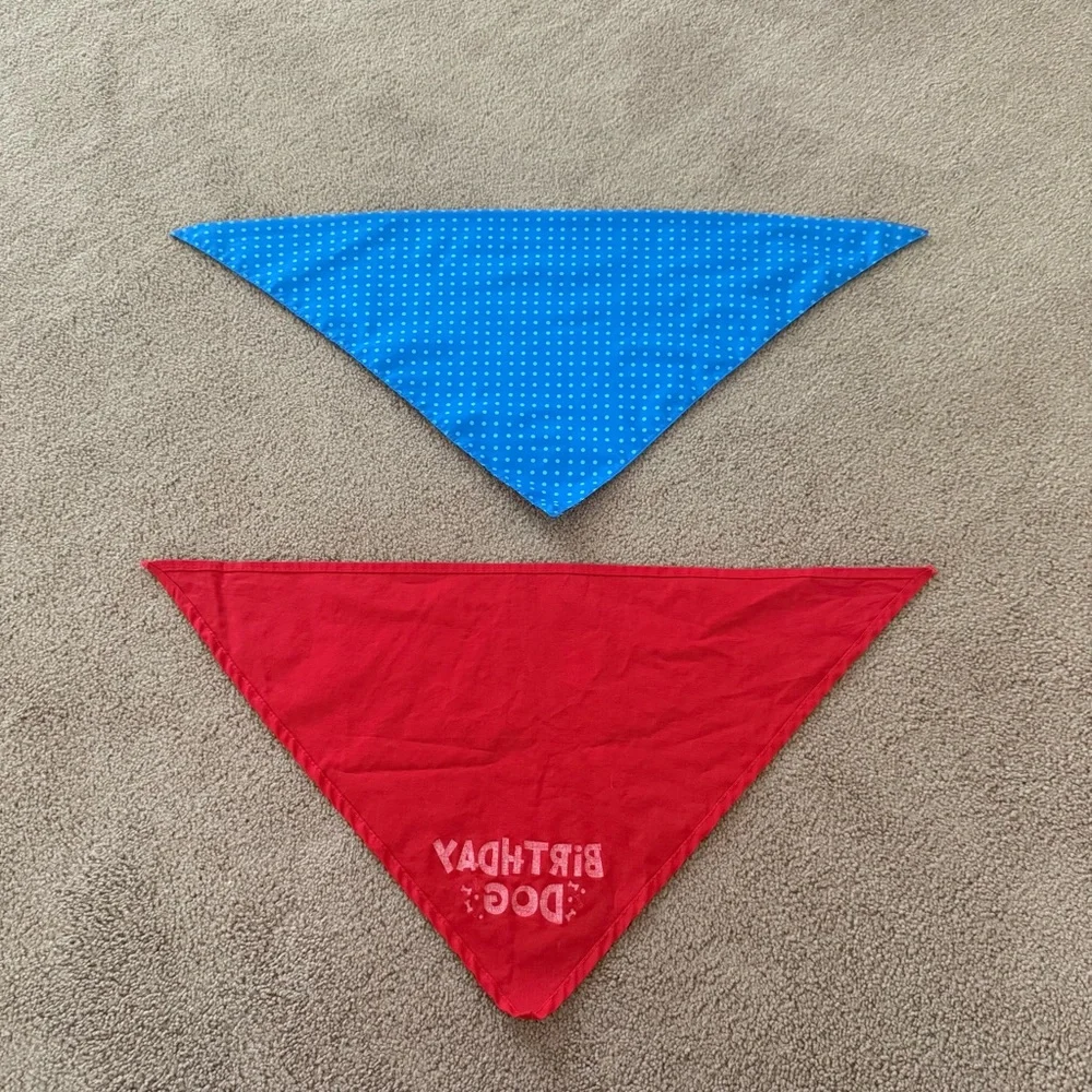 Birthday Dog Bandanas Set